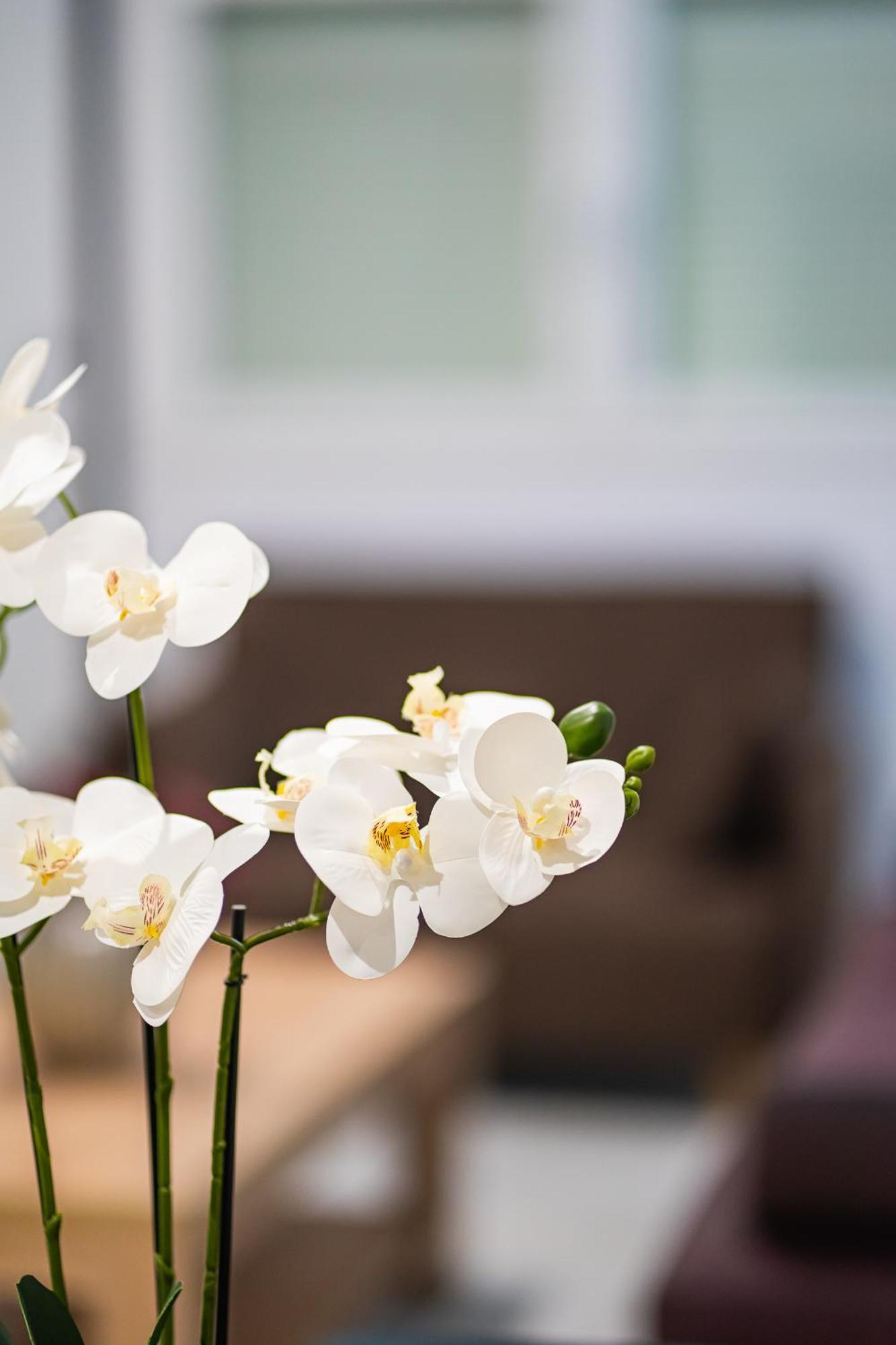 Feel Greek Hospitality #Θ005 Appartement Thessaloniki Buitenkant foto