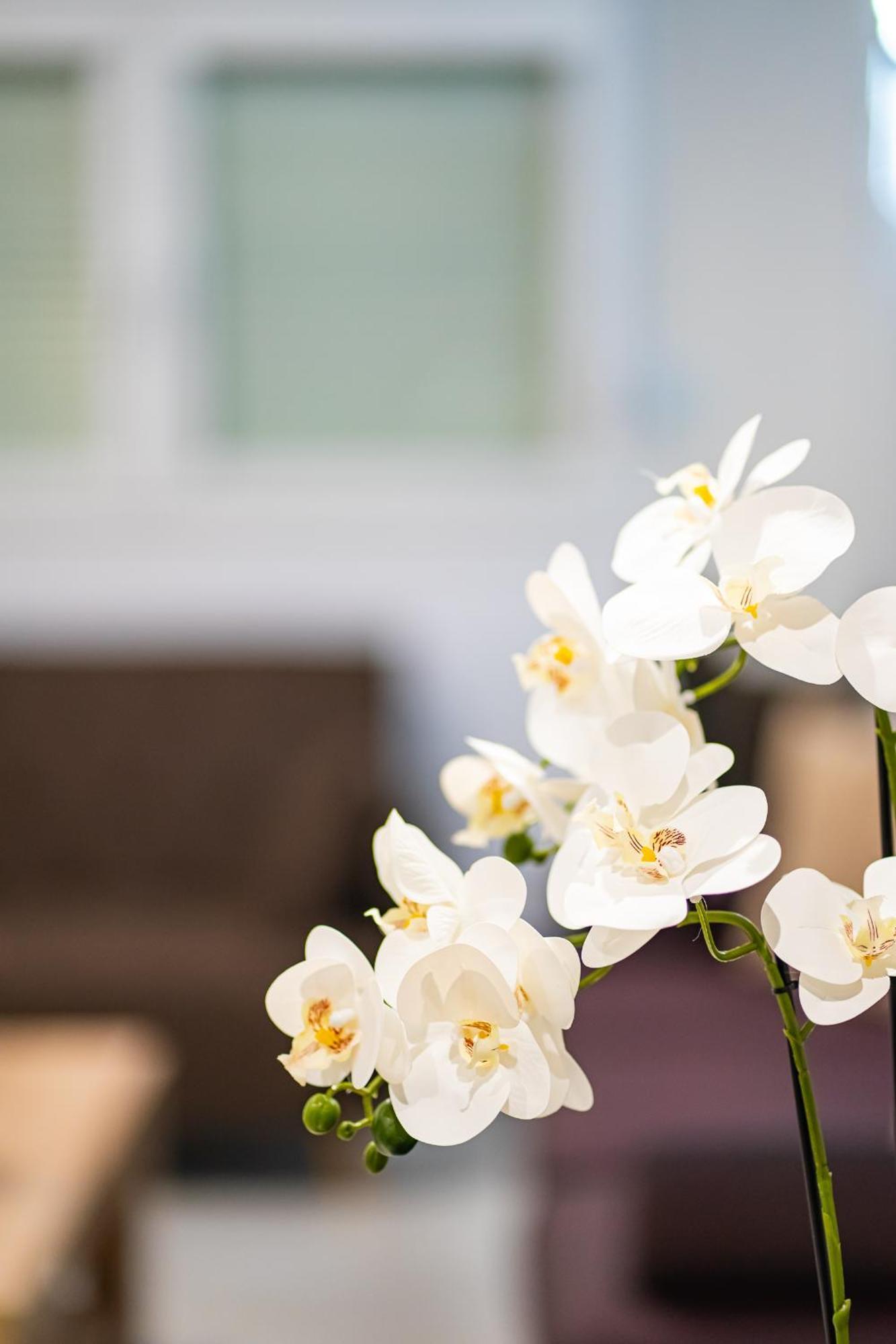 Feel Greek Hospitality #Θ005 Appartement Thessaloniki Buitenkant foto
